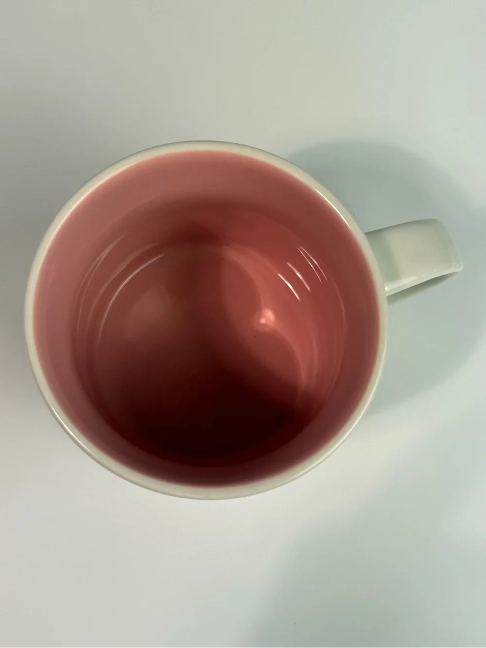 Starbucks Florida Sunshine State Ceramic Mug with Pink Interior